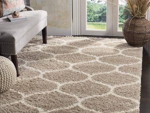Hand Knotted Rug